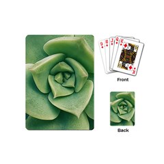 Echeveria Imbricata Closeup Photo Playing Cards Single Design (mini) by dflcprintsclothing