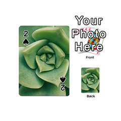 Echeveria Imbricata Closeup Photo Playing Cards 54 Designs (mini) by dflcprintsclothing