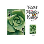 Echeveria Imbricata Closeup Photo Playing Cards 54 Designs (Mini) Front - Spade2