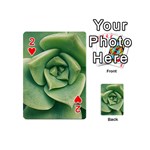 Echeveria Imbricata Closeup Photo Playing Cards 54 Designs (Mini) Front - Heart2