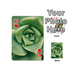 Echeveria Imbricata Closeup Photo Playing Cards 54 Designs (Mini) Front - Heart10