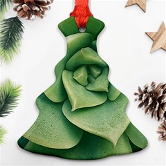 Echeveria Imbricata Closeup Photo Ornament (christmas Tree)  by dflcprintsclothing