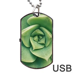 Echeveria Imbricata Closeup Photo Dog Tag Usb Flash (two Sides) by dflcprintsclothing