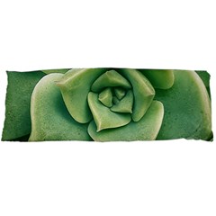 Echeveria Imbricata Closeup Photo Body Pillow Case Dakimakura (two Sides)