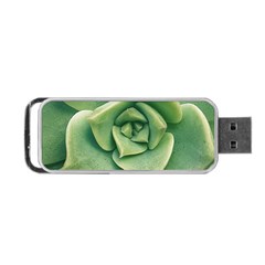 Echeveria Imbricata Closeup Photo Portable Usb Flash (two Sides) by dflcprintsclothing