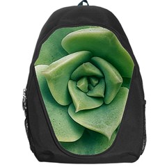 Echeveria Imbricata Closeup Photo Backpack Bag by dflcprintsclothing