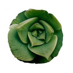 Echeveria Imbricata Closeup Photo Standard 15  Premium Round Cushions by dflcprintsclothing