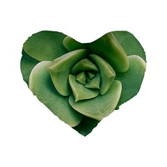 Echeveria Imbricata Closeup Photo Standard 16  Premium Heart Shape Cushions by dflcprintsclothing