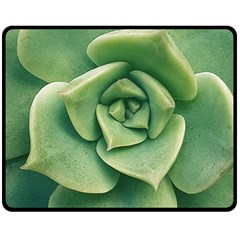 Echeveria Imbricata Closeup Photo Double Sided Fleece Blanket (medium)  by dflcprintsclothing