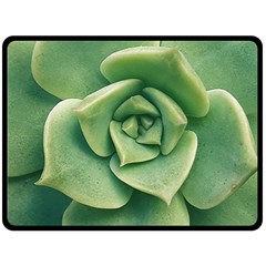 Echeveria Imbricata Closeup Photo Double Sided Fleece Blanket (large)  by dflcprintsclothing