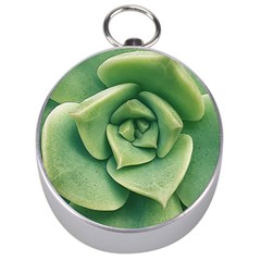 Echeveria Imbricata Closeup Photo Silver Compasses by dflcprintsclothing