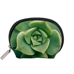 Echeveria Imbricata Closeup Photo Accessory Pouch (small) by dflcprintsclothing