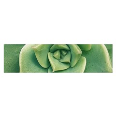 Echeveria Imbricata Closeup Photo Oblong Satin Scarf (16  X 60 ) by dflcprintsclothing