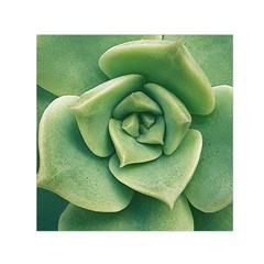 Echeveria Imbricata Closeup Photo Square Satin Scarf (30  X 30 ) by dflcprintsclothing