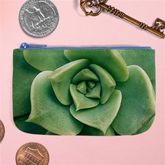 Echeveria Imbricata Closeup Photo Large Coin Purse by dflcprintsclothing