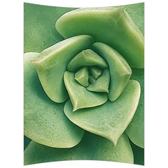 Echeveria Imbricata Closeup Photo Back Support Cushion by dflcprintsclothing