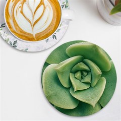 Echeveria Imbricata Closeup Photo Uv Print Round Tile Coaster by dflcprintsclothing