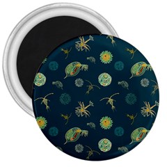 Plankton Pattern- 3  Magnets