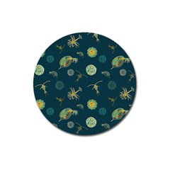 Plankton Pattern- Magnet 3  (round)