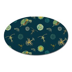 Plankton Pattern- Oval Magnet