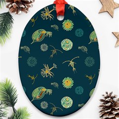 Plankton Pattern- Oval Ornament (two Sides)