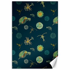 Plankton Pattern- Canvas 12  X 18 