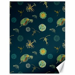 Plankton Pattern- Canvas 18  X 24  by Jancukart