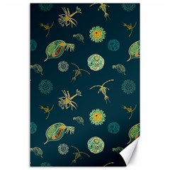 Plankton Pattern- Canvas 24  X 36 