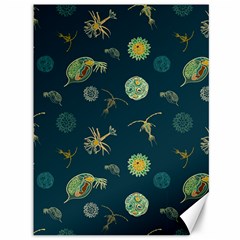 Plankton Pattern- Canvas 36  X 48 