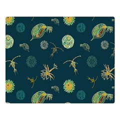 Plankton Pattern- Double Sided Flano Blanket (large) 