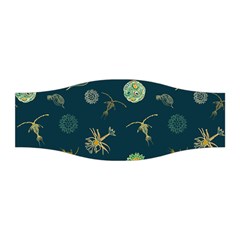 Plankton Pattern- Stretchable Headband by Jancukart