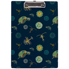 Plankton Pattern- A4 Clipboard