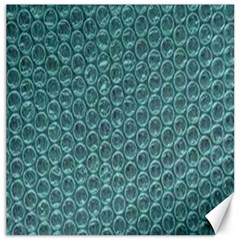 Bubble Wrap Canvas 12  x 12 