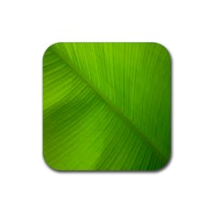 Banana Leaf Rubber Coaster (square) by artworkshop