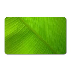 Banana Leaf Magnet (rectangular) by artworkshop