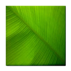 Banana Leaf Tile Coaster