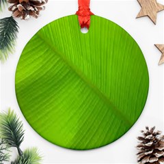 Banana Leaf Round Ornament (two Sides) by artworkshop