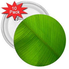 Banana Leaf 3  Buttons (10 Pack)  by artworkshop