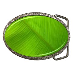 Banana Leaf Belt Buckles by artworkshop