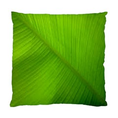 Banana Leaf Standard Cushion Case (two Sides) by artworkshop