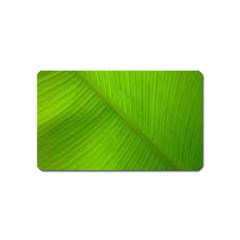 Banana Leaf Magnet (name Card) by artworkshop