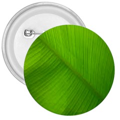 Banana Leaf 3  Buttons by artworkshop