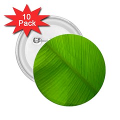 Banana Leaf 2 25  Buttons (10 Pack)  by artworkshop