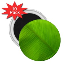 Banana Leaf 2 25  Magnets (10 Pack)  by artworkshop