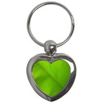 Banana Leaf Key Chain (Heart) Front