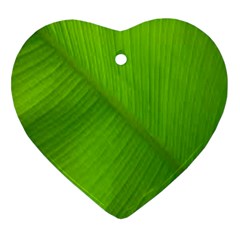 Banana Leaf Ornament (heart) by artworkshop