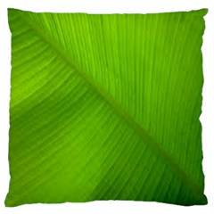 Banana Leaf Large Cushion Case (two Sides) by artworkshop