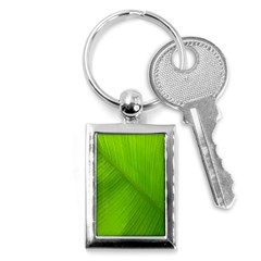 Banana Leaf Key Chain (rectangle) by artworkshop