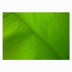 Banana Leaf Large Glasses Cloth (2 Sides) by artworkshop