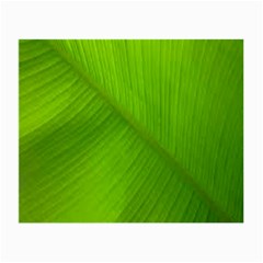 Banana Leaf Small Glasses Cloth by artworkshop